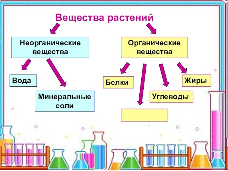 Неорганические соединения состоят из. Вещества растений. Неорганические вещества растений. Минеральные вещества и органические вещества. Минеральные и органические вещества растений.