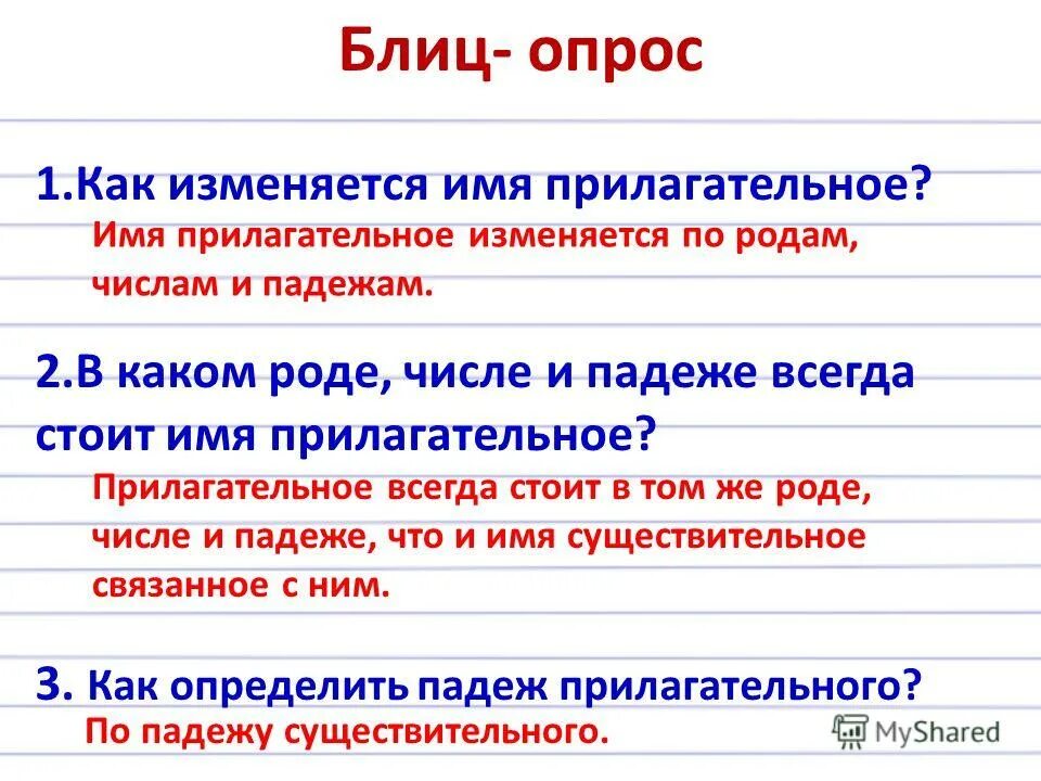 Какие имена прилагательные не изменяются по родам