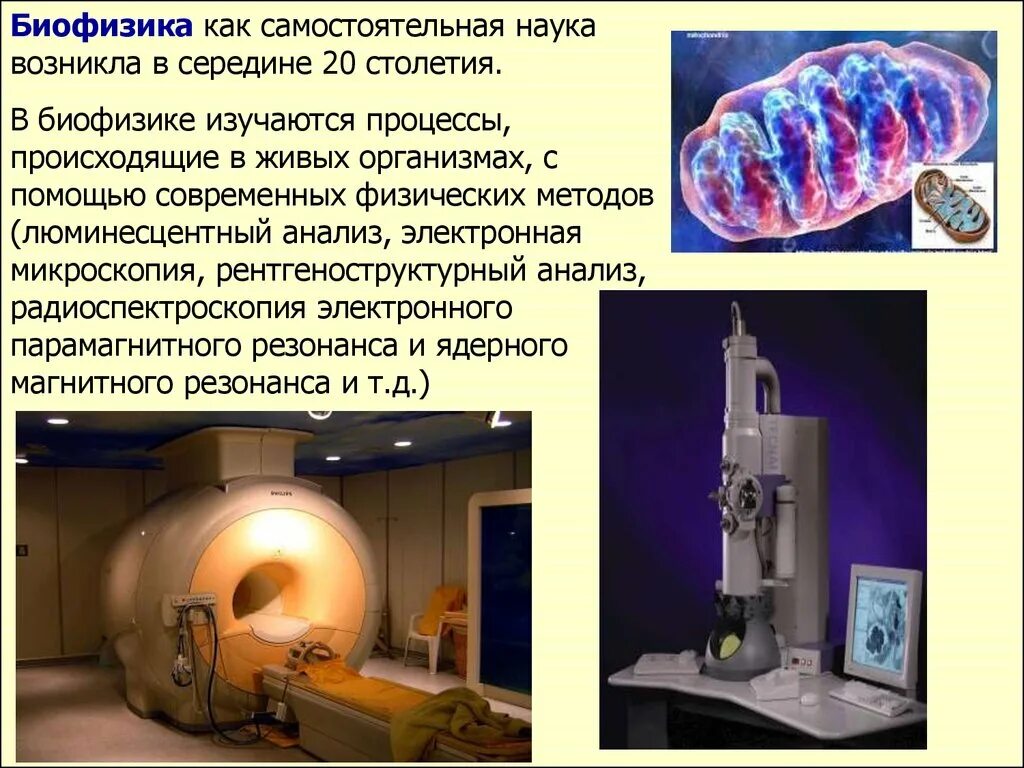 Биофизика сайт. Биофизика. Биофизика в медицине. Применение биофизики в медицине. Биофизические методы исследования в медицине.