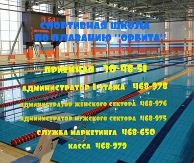 Расписание бассейна орион ульяновск
