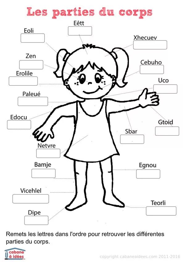 Части тела на французском для детей. Части тела на английском. Части тела на немецком языке задания. Части тела на английском языке для детей.