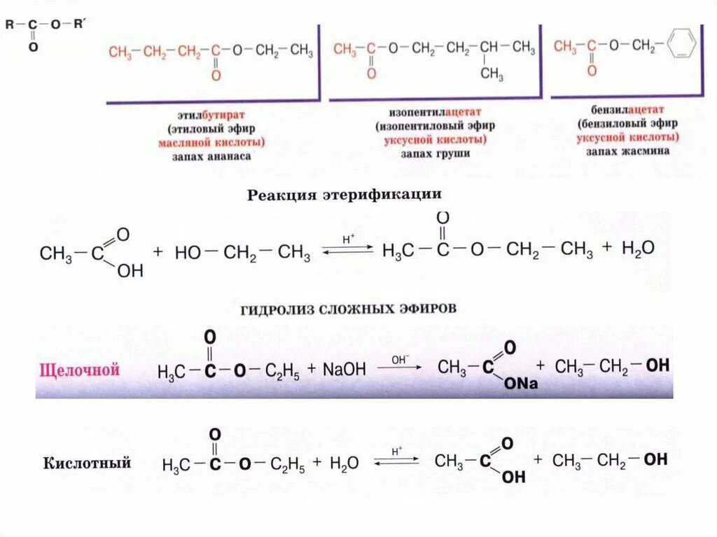 Щелочной гидролиз этилацетата реакция. Этиловый эфир масляной кислоты. Битиловый эфир масляноой кислоты. Этиловый жфмюир пасляной кисдоты. Этанол в этиловый эфир масляной кислоты.