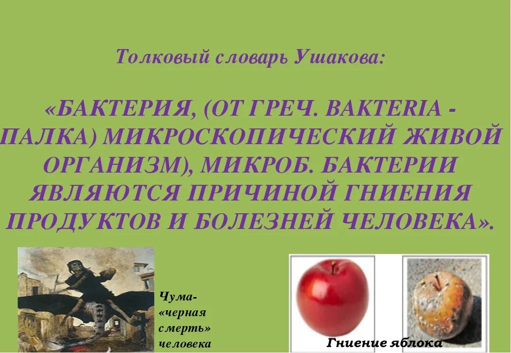 Плюсы бактерий в жизни человека. Роль бактерий в жизни человека. Роль и значение бактерий. Сообщение на тему роль бактерий в природе. Роль бактерий в жизни человека кратко.