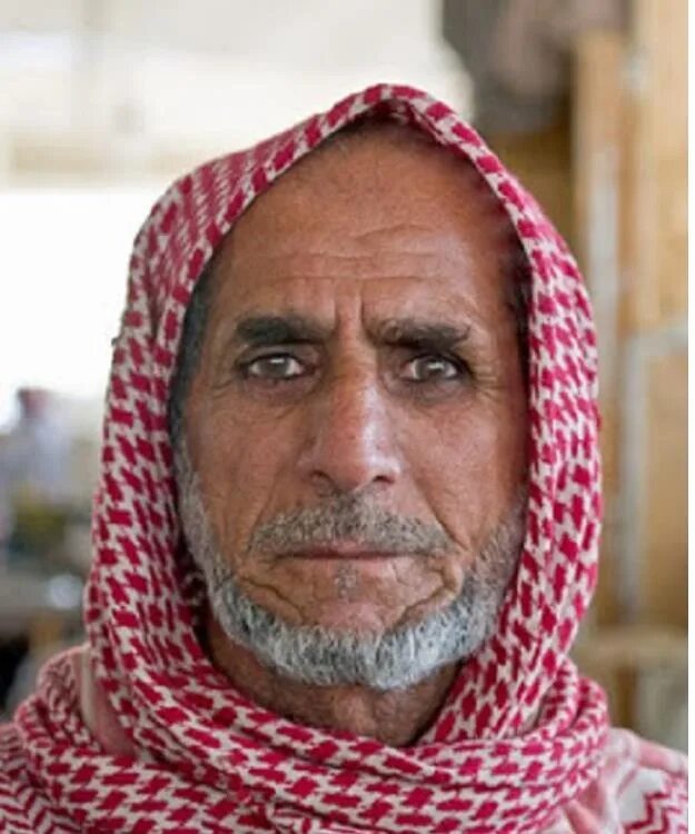Дедушка араб. Старый араб. Пожилой араб. Арабские мужчины в возрасте.