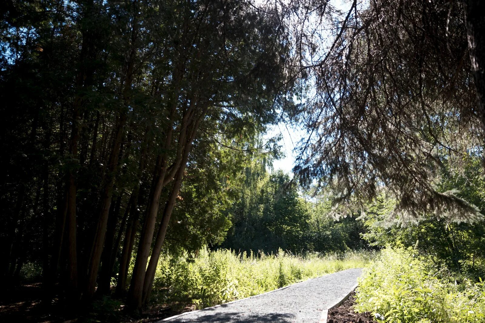 снт жигулевские сады самара. жигулёвские сады самара. жигулёвские сады самара 2000 год. жигулёвские сады самара. жигулёвские сады самара посёлок.