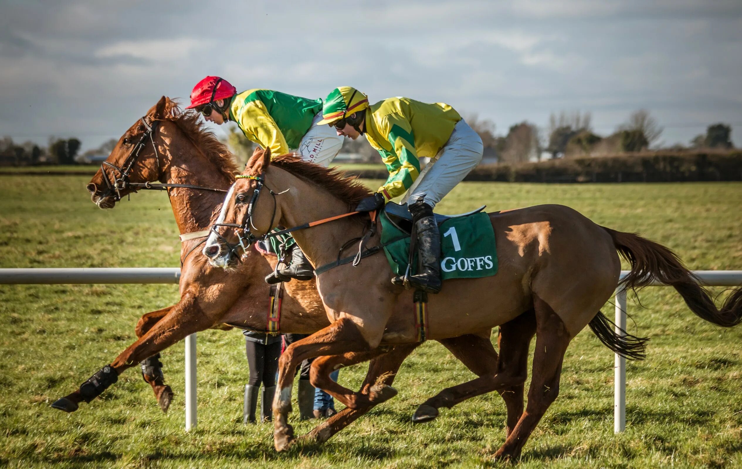 Sports horse. Скачки на лошадях. Лошадь на соревнованиях. Лошадь на скачках. Конный спорт спортсмены.