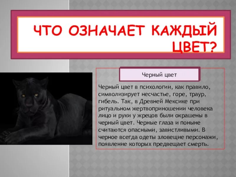 Черный цвет в психологии. Что означает черный цвет в психологии. Гибель что значит. Животное которое означает смерть. Черный в психологии означает