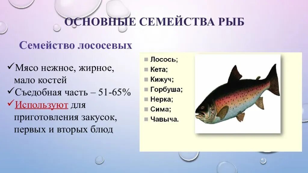 Каких животных относят к рыбам
