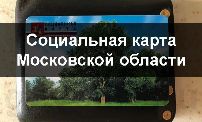 Социальная карта Подмосковья. Социальная карта Московской области фото. Социальная карта Подмосковья фото. Социальная карта жителя Московской области. Социальная карта московской области в 2024 году