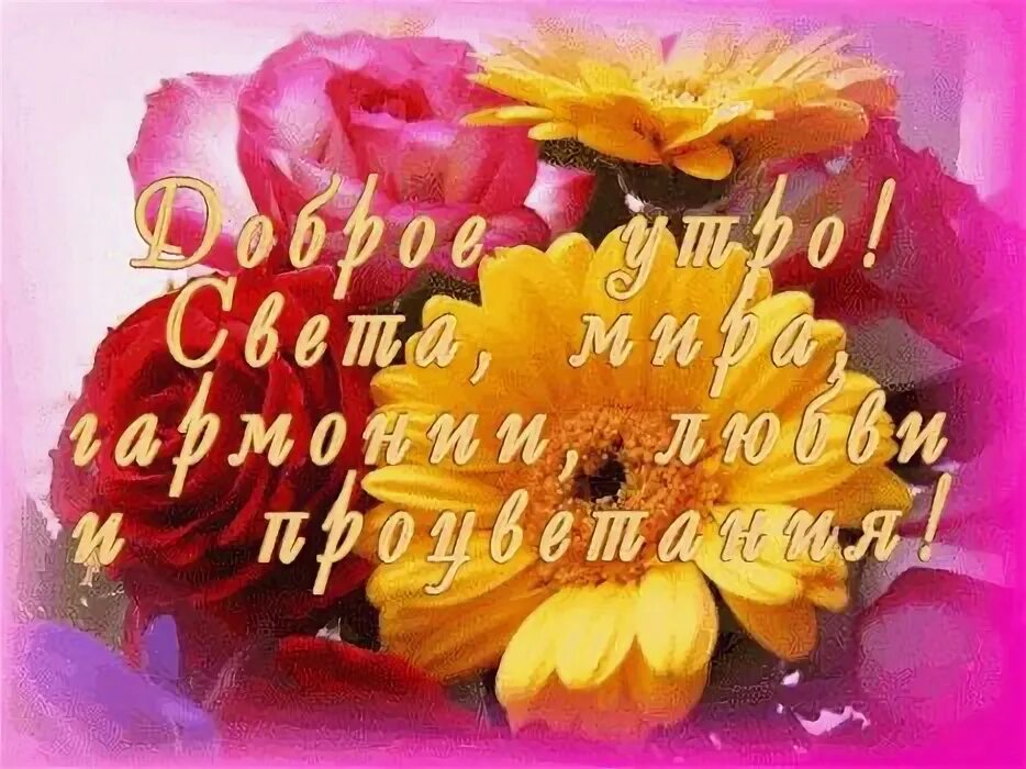 Meme: "ДОБРОЕ УТРО, МИЛАЯ ЛЮДОЧКА ХОРОШЕГО ДНЯ" - All Templates - Meme-arsenal.c