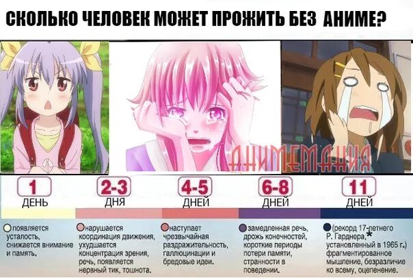 Сколько живут анимешники ответ