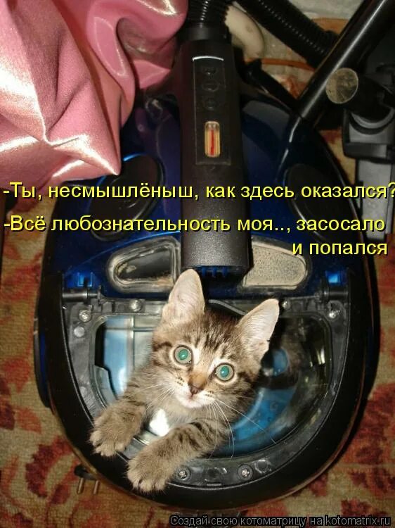 Пусть у мышки болит. Стреляй васек не бойся по другому. Стреляй васек не бойся по другому. Стреляй васек не бойся по другому. Давай стреляй.