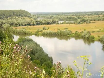 Река десна рыбалка