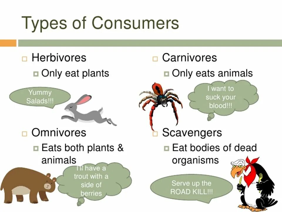 Types up. Types of consumers. types of animals. знзуы ща фтшьфды. types of animals for kids.