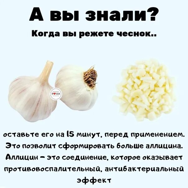 Что делать с чесноком в июле