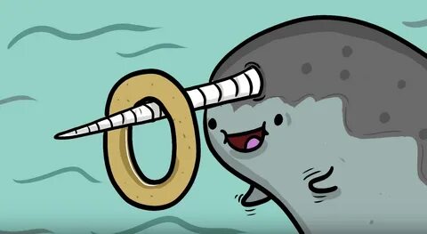 Narwhal Food Chain