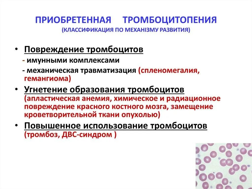 Тромбоцитопения что это такое. Гипопластическая тромбоцитопения. лимфопения тромбоцитопения. тромбоцитопения и тромбоцитопатия. асимптоматическая тромбоцитопения.