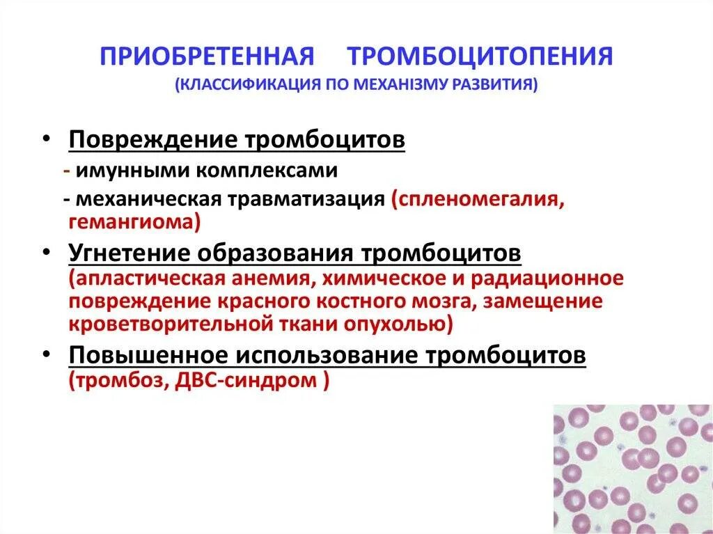 Иммунная тромбоцитопения сыпь. Тромбоцитопения гематолог. Тромбоцитопения клиническая картина. Тромбоцитопения причины и лечение у взрослых