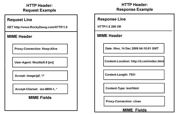 Заголовки запроса. Header примеры. Request headers. Что такое Заголовок запроса пример. Header fields