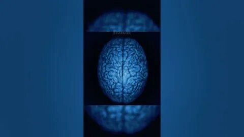 Demon brain