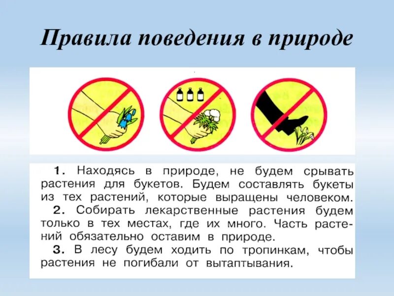 Павилапведенияв природе. Правила поведения на природе. Правила поведения вмприроде. Правила поведения на прирол. Почему нельзя срывать