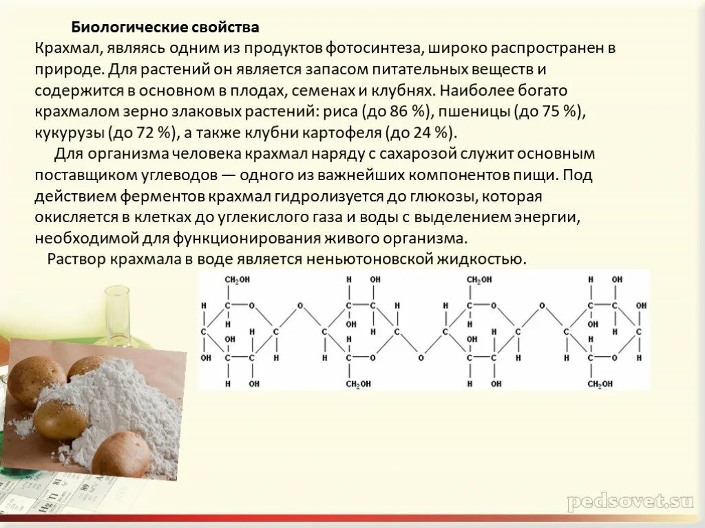 Какую функцию в организме выполняет крахмал. Крахмал растительный строение. Биологические свойства крахмала. Крахмал строение и биологическая роль. Биологическая характеристика крахмала.