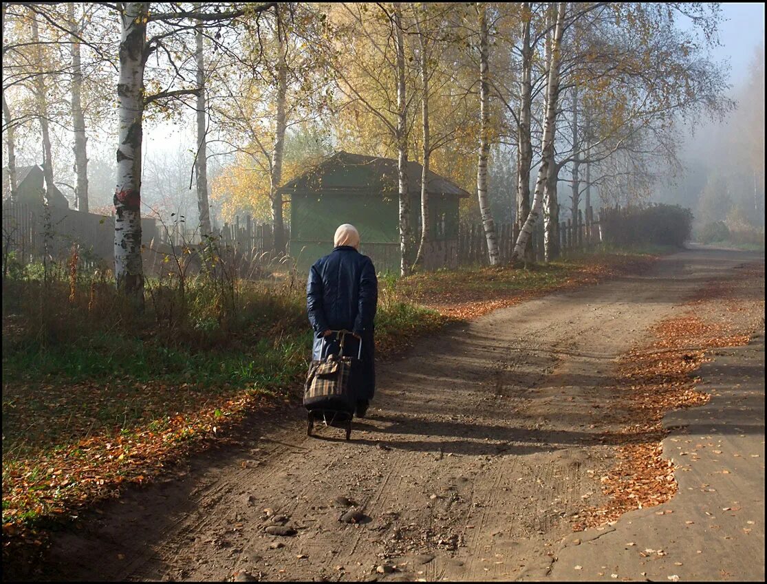 Я брожу в березовом перелеске. Путник на дороге. Странник на дороге. Одинокий Путник на дороге. Путник идет.