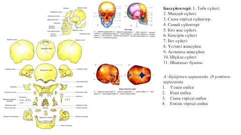 Толық метражды ресейлік лесбияндық порно фильм