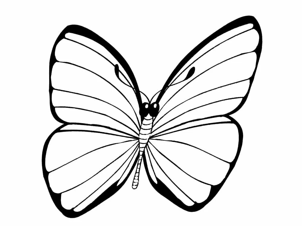Раскраска черных фото. Раскраска "бабочки". Бабочка раскраска для детей. Бабочка раскраска для малышей. Бабочка рисунок.