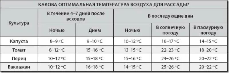 При какой температуре высаживать томаты