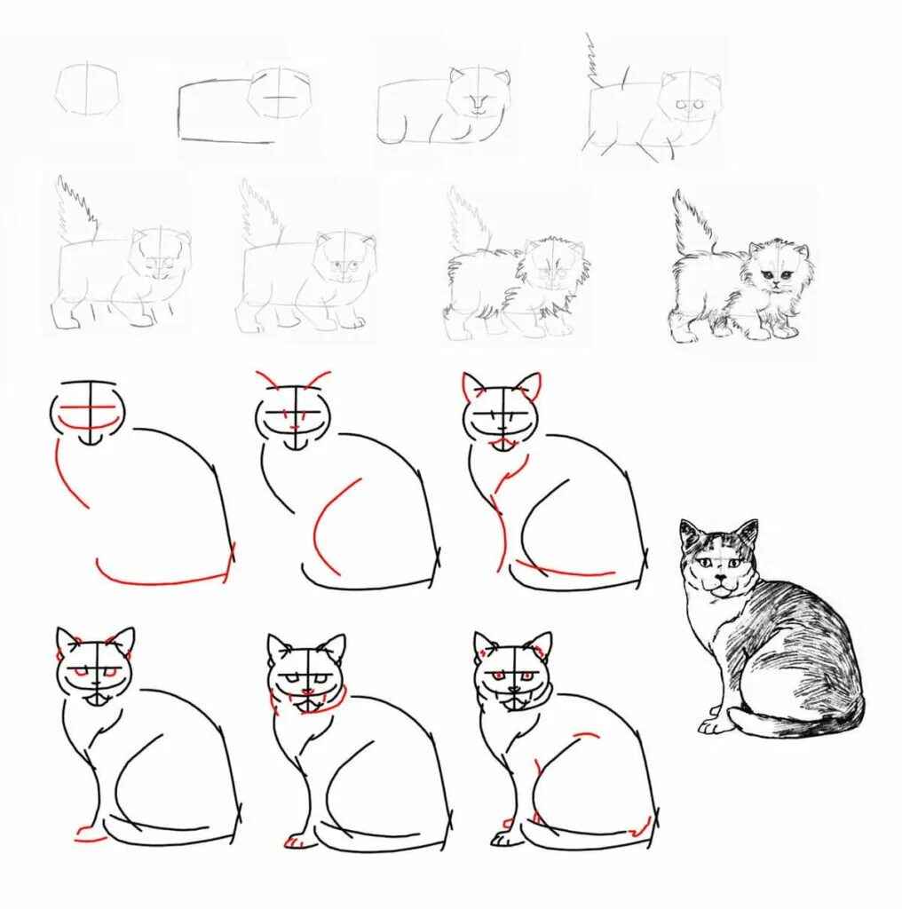 Схема рисования кошки. Поэтапное рисование котенка. Рисуем кота поэтапно. Пошаговое рисование кота. Быстро просто кошка