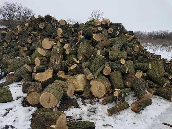 древесина топливо. где продать дрова. продаются дрова.
