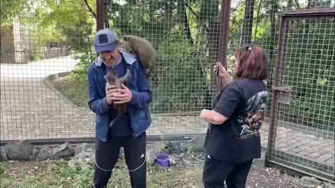 Парк тайган обезьяна люся видео
