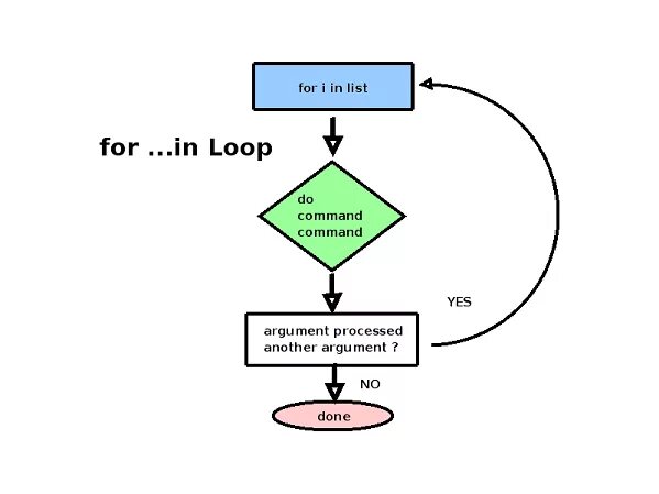 For loop. Loop in Programming. For loop c. Nested loops.