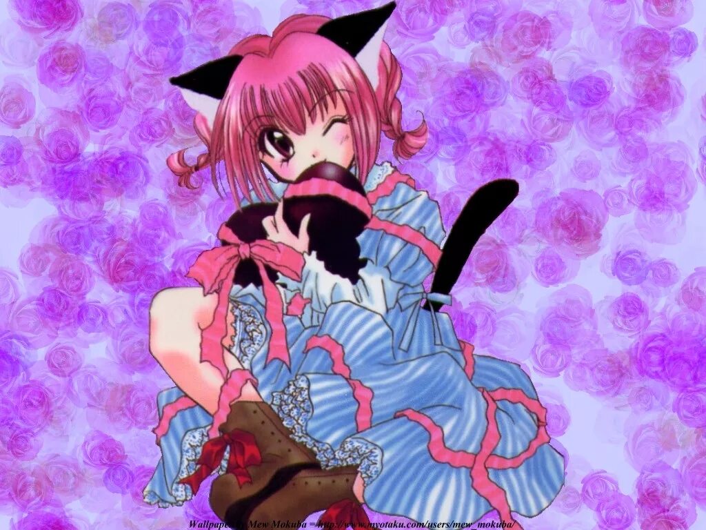 Мяу 4. Токио мяу мяу Кишу. Tokyo Mew Mew. Ичиго Момомия. Токийские кошечки мяу мяу.