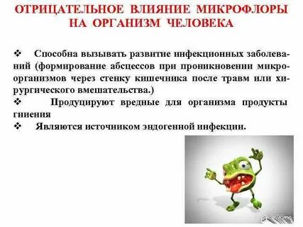 Микрофлора влияет на