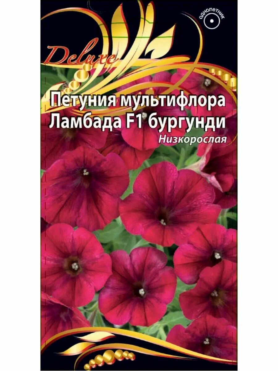 Ламбада бургунди. Петуния многоцветковая Lambada f1 Burgundy. Петуния мультифлора Ламбада f1 бургунди. Петуния Ламбада f1 Burgundy махровая. Петуния Ламбада бургунди многоцветковая.