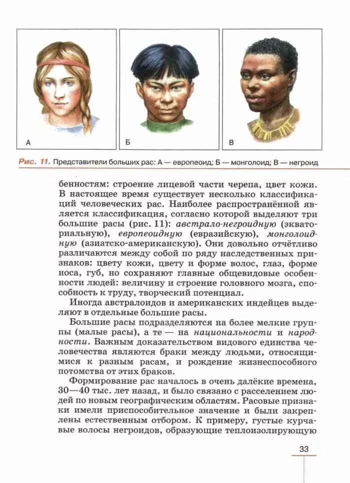 Выступающий нос характерны для какой расы. Европеоидная монголоидная негроидная раса таблица. Таблица по биологии расы негроидная европеоидная монголоидная. Представители разных рас. Схема расы человека.