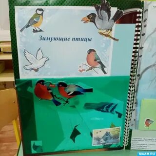 Птица воспитатель