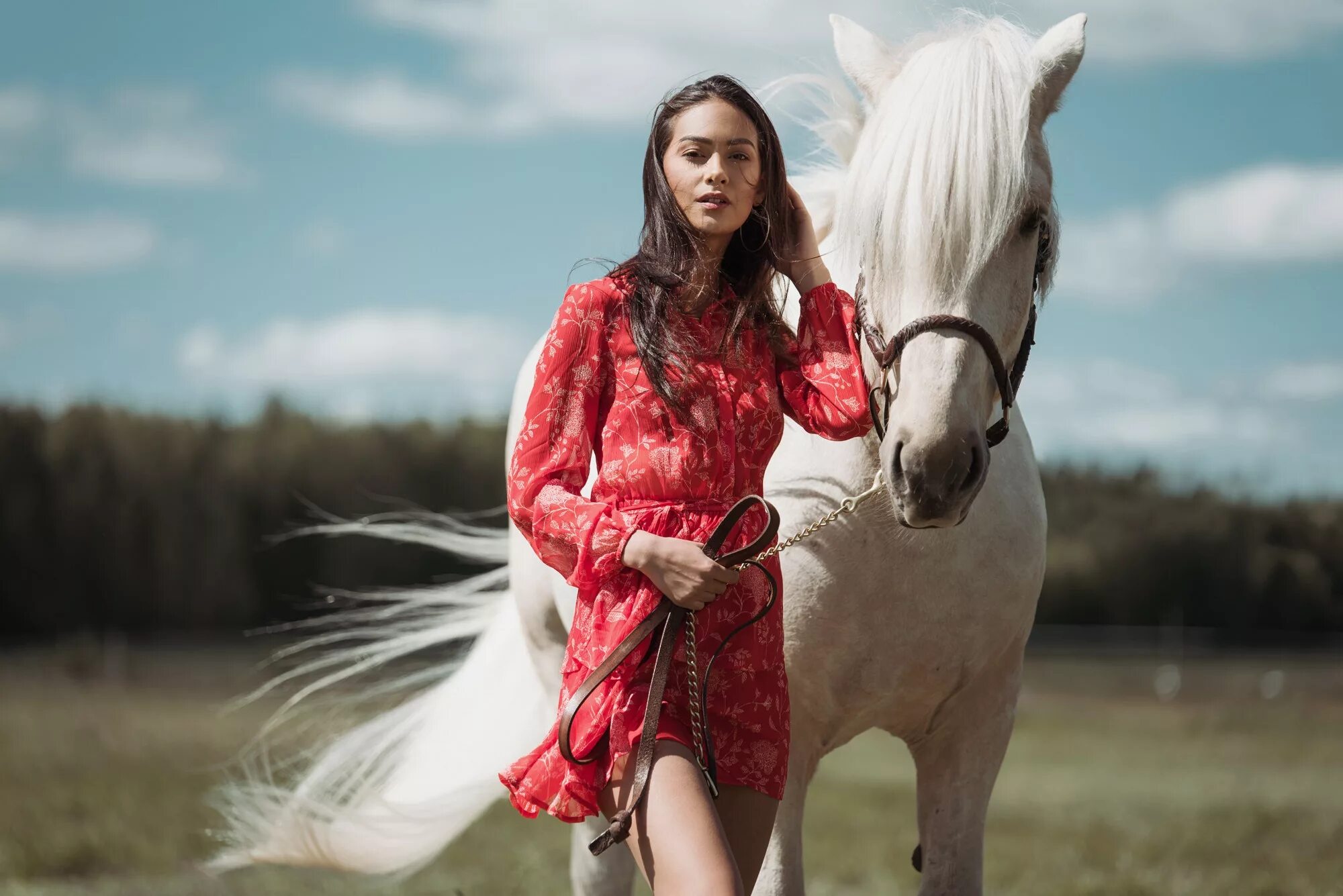 Учительница кони. Конь и женщина. Девушка в платье на коне. Девушка с лошадью. Девушка в платье на лошади.