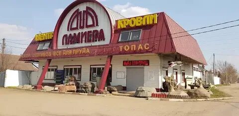 Дали щелково