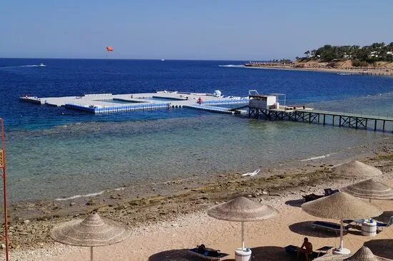 Хотел 102. Mersoy bellavista hotel 4 турция мармарис. Берлин грин парк болгария. Хотел 102. Лесной лагерь инджекум.