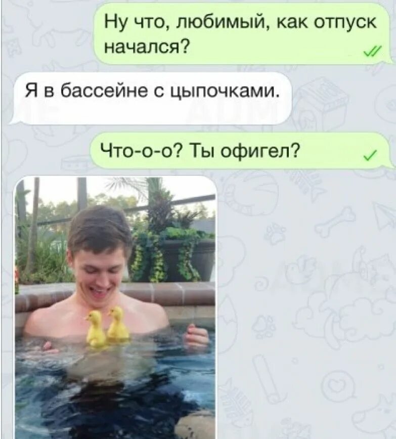 смешной статус в вазап. стишки про отпуск. статусы для ватсапа в картинках. отпуск аватарка. статус в отпуске ватсап.