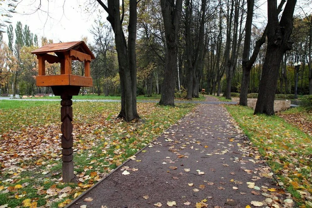 Измайловский парк московский просп 2 фото. Лесопарк Измайлово. Измайловский парк парк. Измайловский парк лавочки. Аллея большого круга 7 Измайловский парк.