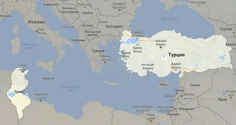 Рядом с турцией какие страны