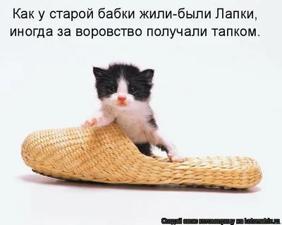 Сейчас полезет