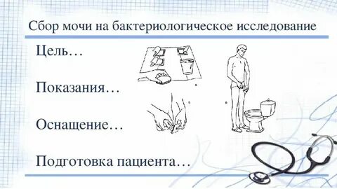 Подготовка пациента к анализам алгоритмы