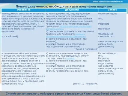 Копия положения