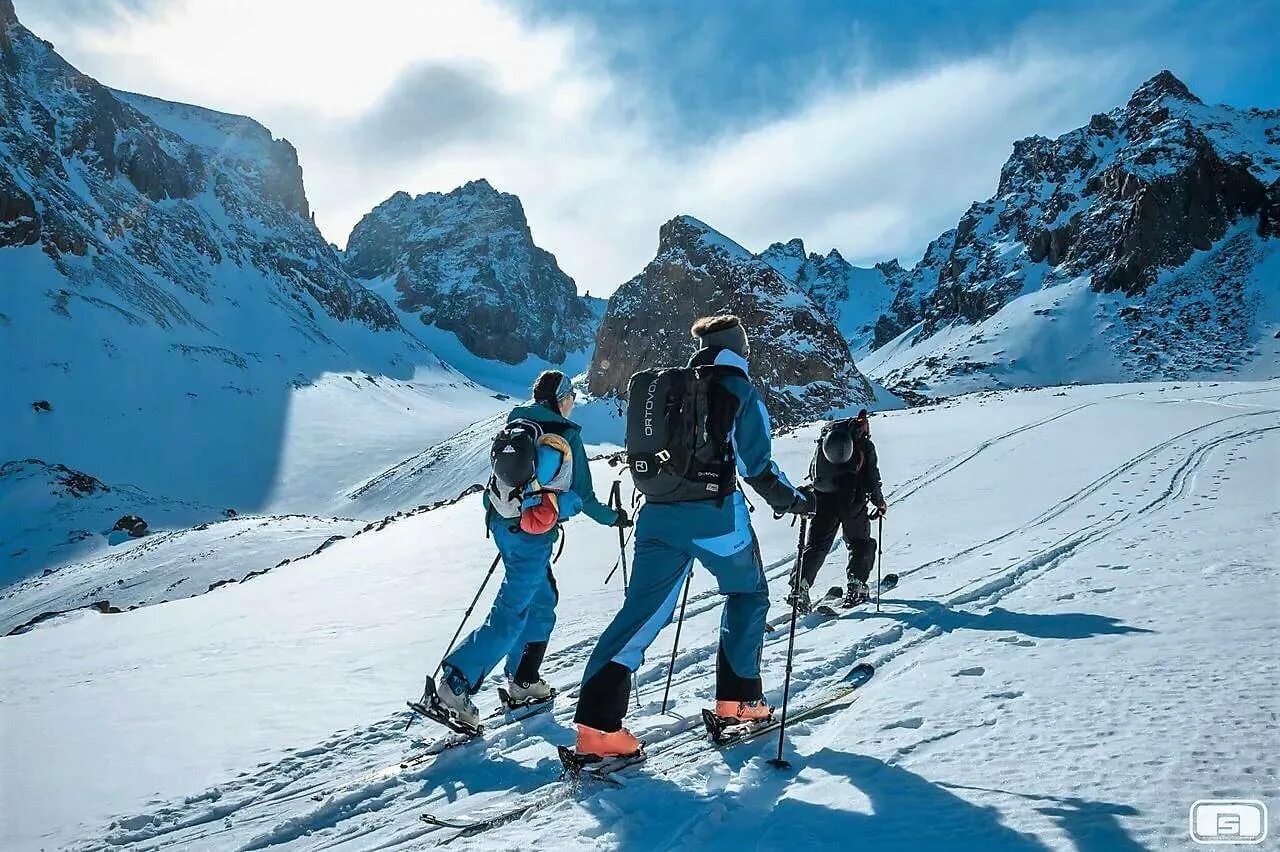 Cariboo ski touring club. Ski-tour лыжи. Фрирайд горные лыжи. Камус для ски альпинизма. Скитур лыжи.