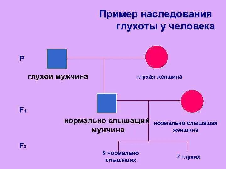 Наследственная глухота. Глухота Тип наследования. Примеры наследования. Врожденная глухота Тип наследования. Глухонемота какой Тип наследования.